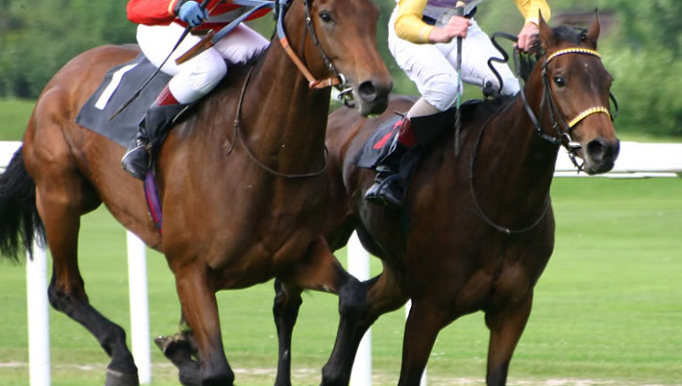 captura de pantalla 4 de William Hill Sports